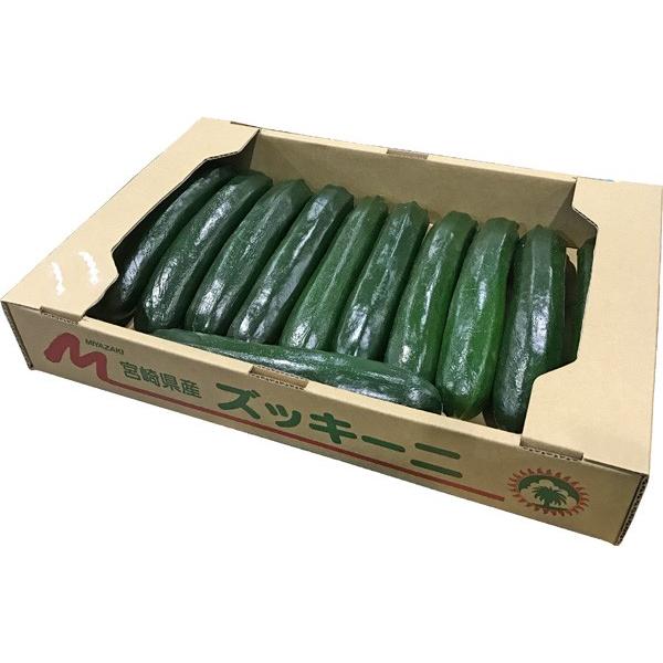 ズッキーニ 2kg 1箱（9〜14本）国産・熊本・宮崎・長野など : おおつる