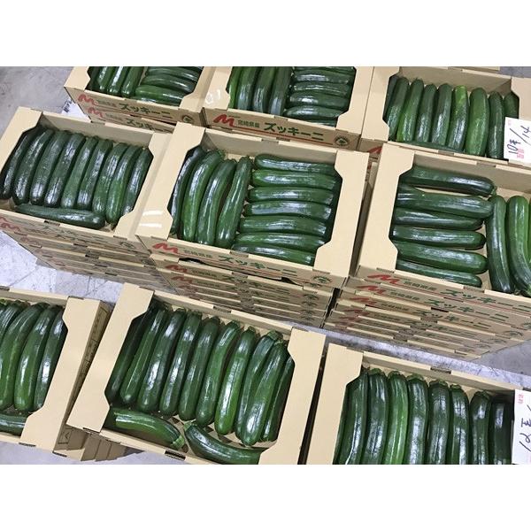 ズッキーニ2kg1箱（9〜14本）九州産・熊本・宮崎など : おお