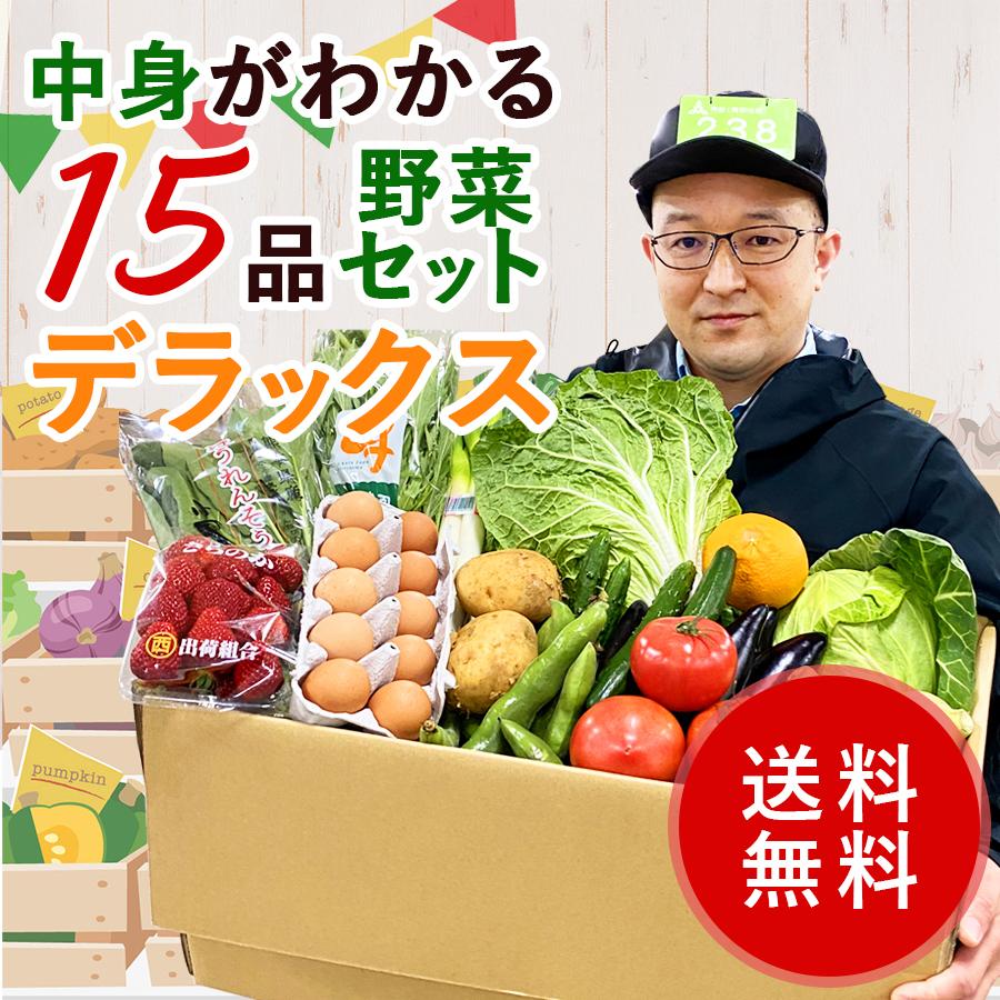 なかみがわかるデラックスセット（野菜・果物） 全15品 N25 : おお