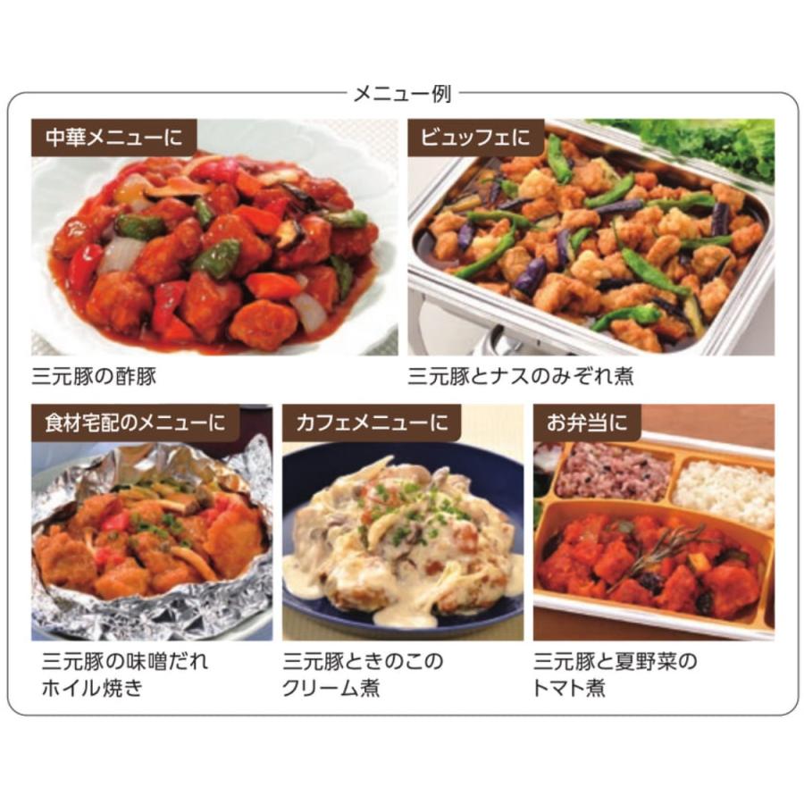 味の素 三元豚の角切り唐揚げ GV343 800g : 大槻食品館キャロット