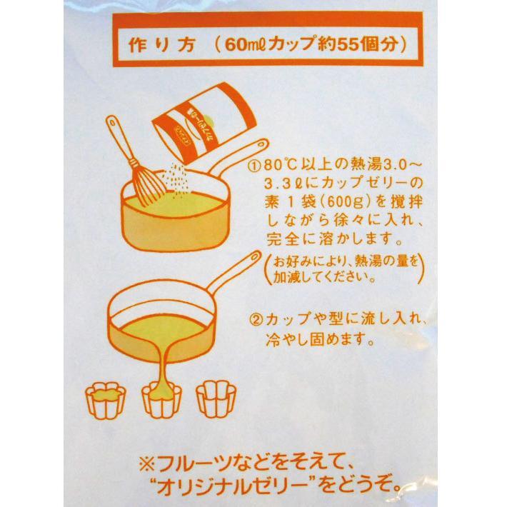 送料無料 伊那食品 カップゼリーの素 マンゴー味600g : 大槻食品館