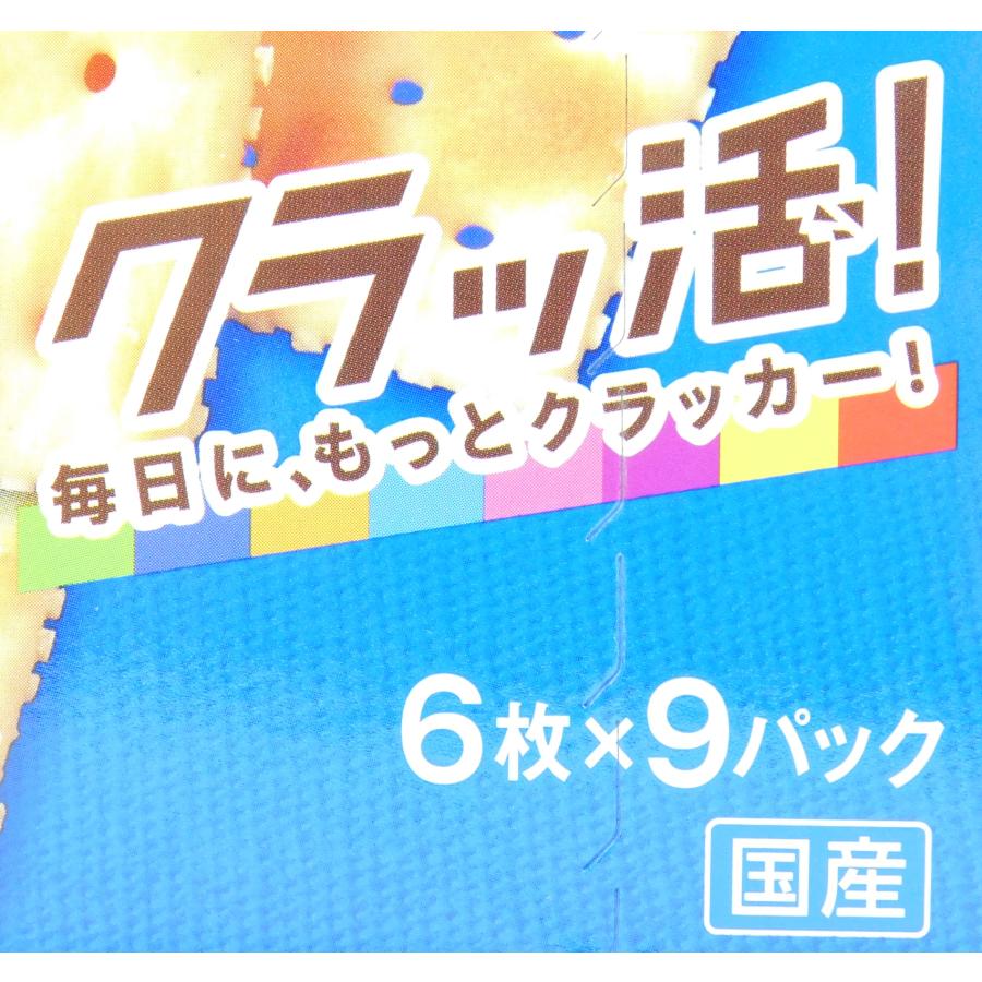 ヤマザキ トリックスター / Ninja ZX-4RR / ZX-4R SE(24-26) レーシングフル