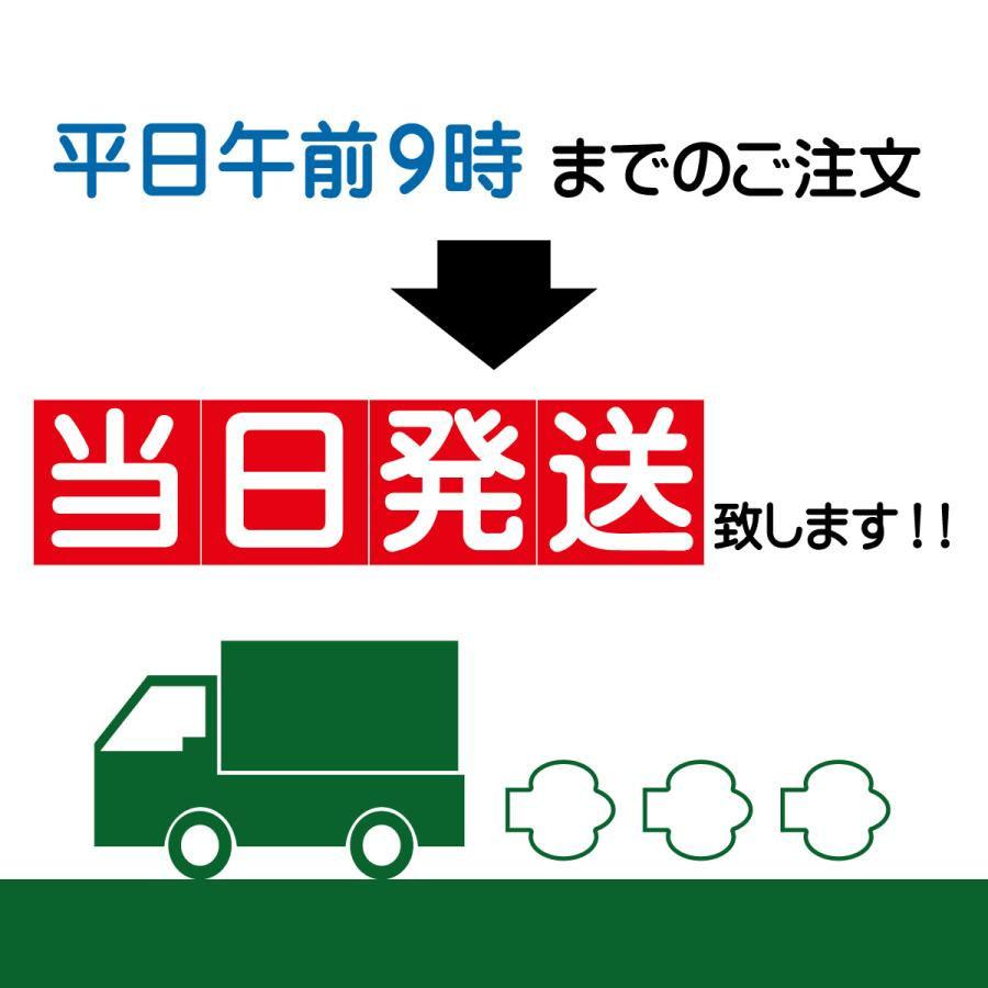 送料無料　蕗　フキ　ふきの水煮　天狗缶詰　ふき水煮(無着色)AR　2号缶　800g(内容量530g)｜ootuki｜07