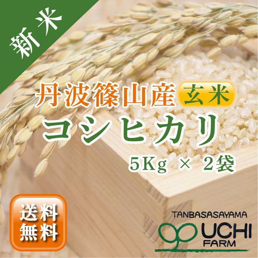 SALE／65%OFF】 兵庫県丹波産 農薬不使用コシヒカリ玄米１０㎏ 令和４