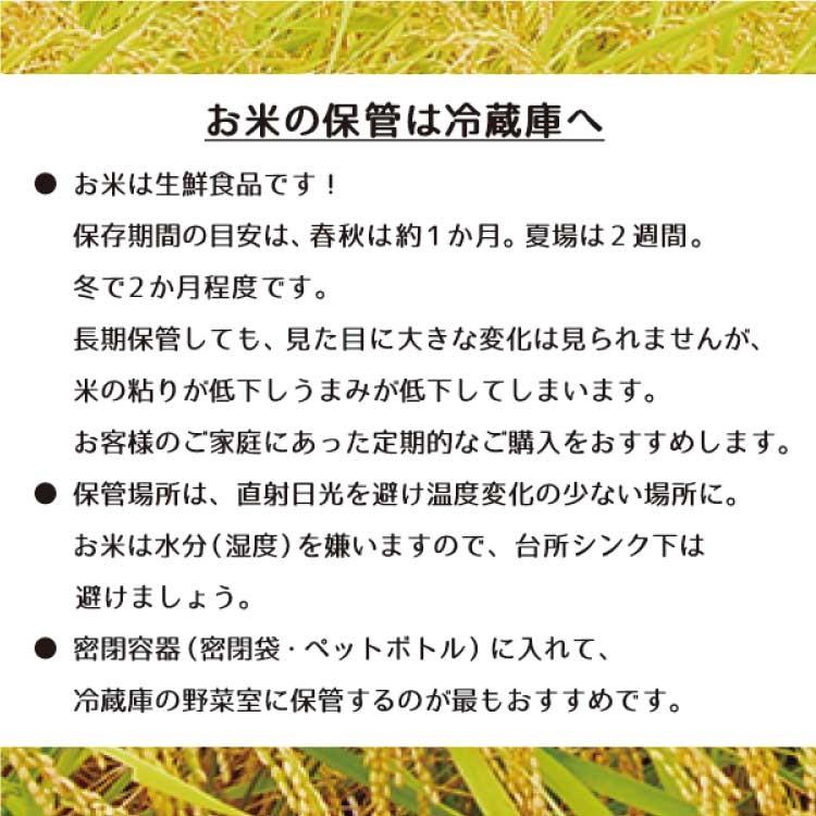 お米 送料無料 コシヒカリ 兵庫県 丹波篠山産 減農薬 循環型農法 ひょうご安心ブランド 一等米 令和5年 20kg｜oouchi-farm｜06