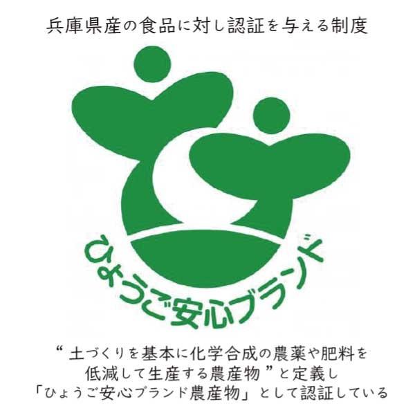 お米 定期便 コシヒカリ 丹波篠山産 送料無料 特A 玄米 令和5年 5kg 6ヶ月｜oouchi-farm｜04