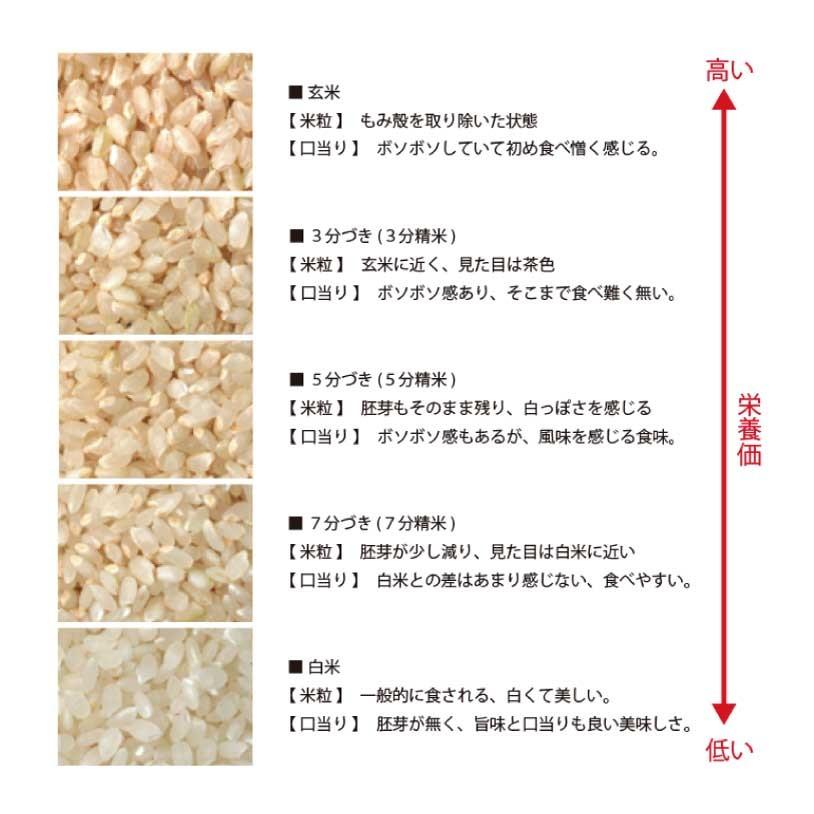 お米 定期便 コシヒカリ 丹波篠山産 送料無料 特A 玄米 令和5年 5kg 6ヶ月｜oouchi-farm｜05