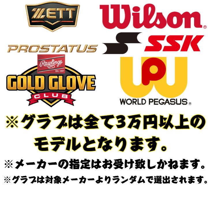 定価3万‼️ 値下げ⭕️ 軟式グローブ 野球 福袋 軟式グローブ 3〜4万円相当【軟式グラブ+野球用品1〜3品