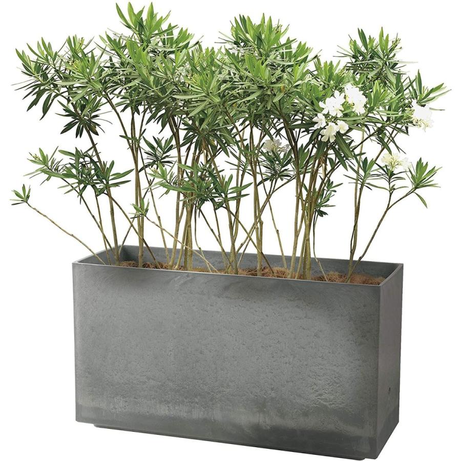 リッチェル 大型プランター 陶器風 ホワイト 80×29.5×45cm ラヴィーレWS レクタングル 80型 底面給水機能付き 709040 大型プランター 陶器風 ホワイト 80×29 5×45cm ラヴィーレWS レクタングル 80型 底面給水機能付き