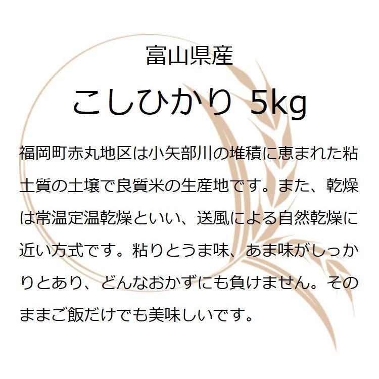 まるまる子 無農薬コシヒカリ5分づき20kg(5kg×4)令和4年 徳島産 コシヒカリ お米 ギフト 米 5kg 富山県産赤丸こしひかり 富山県
