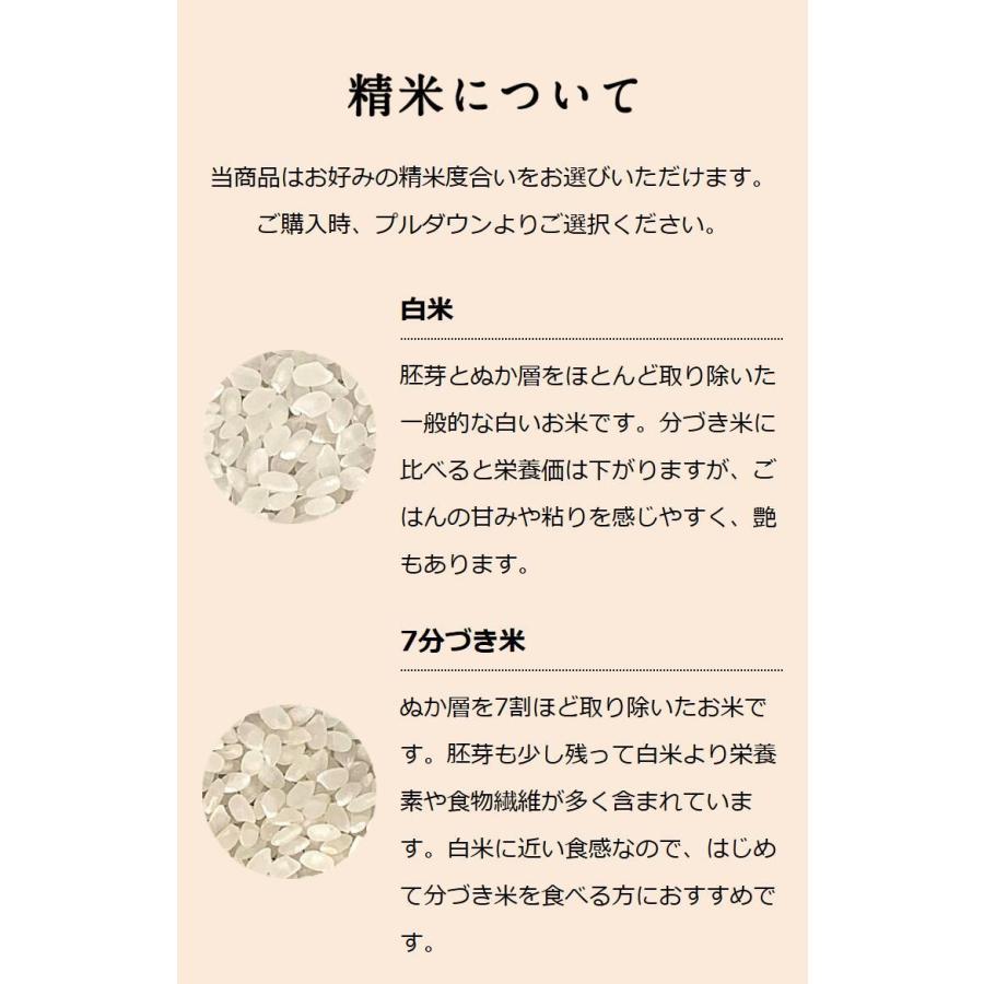 お米 ギフト 米 5kg×2袋 10kg 富山県赤丸産こしひかり 富山県産 10キロ 令和5年産 お米ギフト 食べ物 コシヒカリ 白米 精米 分づき米｜oozora｜09