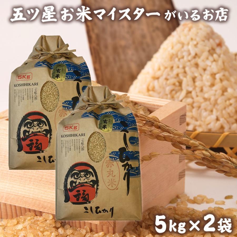 コシヒカリ お米 ギフト 玄米 5kg×2袋 10kg 赤丸こしひかり玄米 コシヒカリ お米 ギフト 玄米 5kg×2袋 10kg 赤丸こしひかり玄米