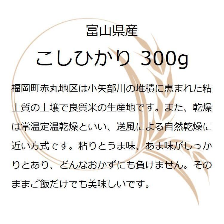 コシヒカリ お米 ギフト 米 (300g 約2合) 富山県産赤丸 コシヒカリ お米 ギフト 米 (300g 約2合) 富山県産赤丸