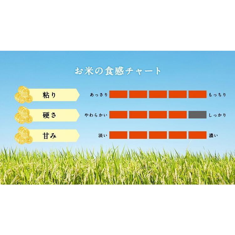 お米 ギフト 米 (300g 約2合) 富山県産赤丸こしひかり1袋 300グラム コシヒカリ 米富山県産 令和5年産 お米 送料無料 お試し メール便 グルメ食品｜oozora｜03