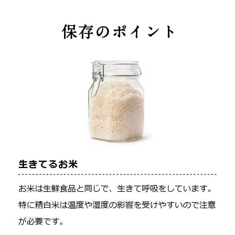 お米 ギフト 米 (300g 約2合) 富山県産赤丸こしひかり1袋 300グラム コシヒカリ 米富山県産 令和5年産 お米 送料無料 お試し メール便 グルメ食品｜oozora｜07