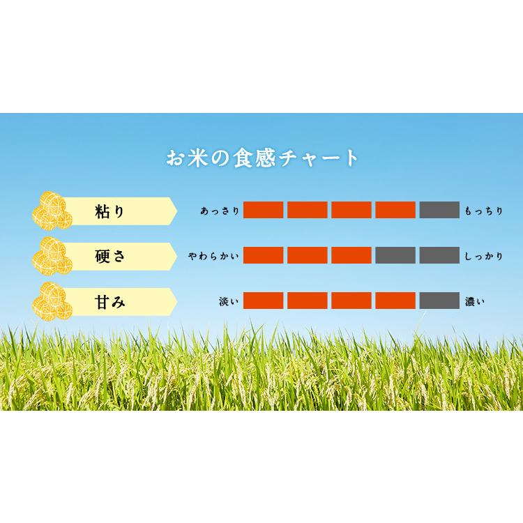 お米 ギフト 米 お試し1袋 (300g 約2合) 富富富 (ふふふ) 富山県産 300グラム 令和5年産 お米 送料無料 メール便 グルメ食品｜oozora｜03