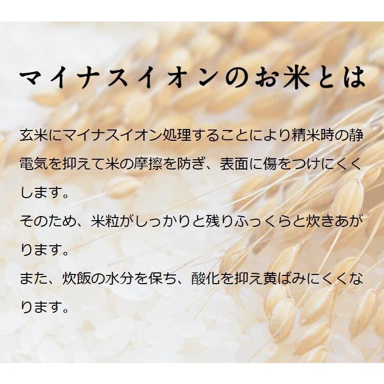 お米 ギフト 米 お試し1袋 (300g 約2合) 富富富 (ふふふ) 富山県産 300グラム 令和5年産 お米 送料無料 メール便 グルメ食品｜oozora｜07