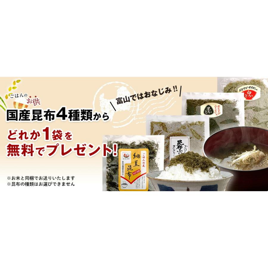 お米 ギフト 米 300g 2合 (2合×6袋) こしひかり 無洗米 富山県産 令和8