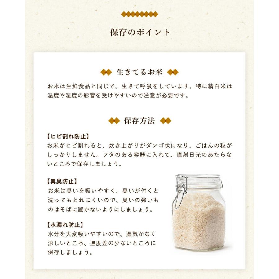 お米 ギフト 米 (2合×12袋) 300g 富山米食べ比べギフトセット 富山県産 令和7年産 米 食べ比べ 白米 精米 コシヒカリ てんたかく 富富富 入学祝い プレゼント