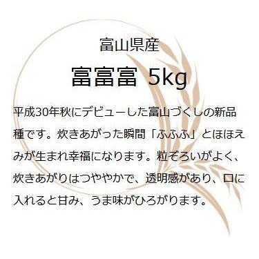 お米 ギフト 米 5kg 富富富 (ふふふ) 富山県産 令和5年産 精米 白米 5キロ 食品 入学内祝い 引っ越し祝い｜oozora｜02