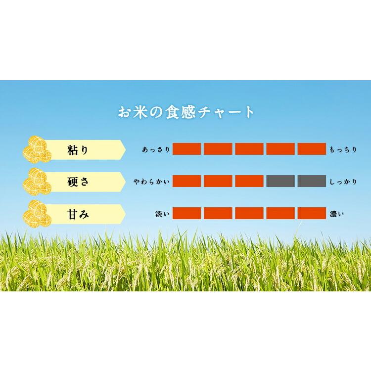 お米 ギフト 米 5kg ミルキークイーン 富山県産 富山県産ミルキークイーン5ｋｇ 5キロ 令和5年産 令和5年 お米ギフト 白米 お米 精米 分づき米 食品｜oozora｜03