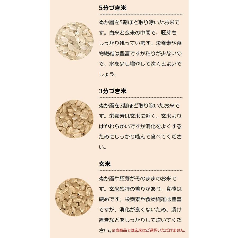お米 ギフト 米 5kg×2袋 10kg てんこもり 富山県産 10キロ 令和7年産