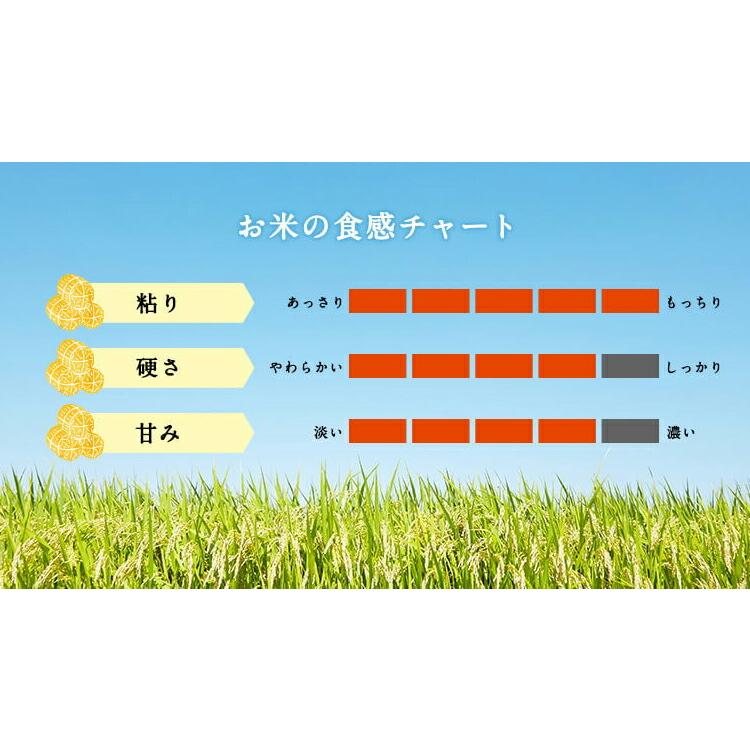 お米 ギフト 米 5kg×2袋 10kg てんこもり 富山県産 10キロ 令和7年産