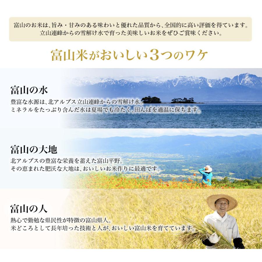 お米 ギフト 米 5kg×2袋 10kg てんこもり 富山県産 10キロ 令和7年産