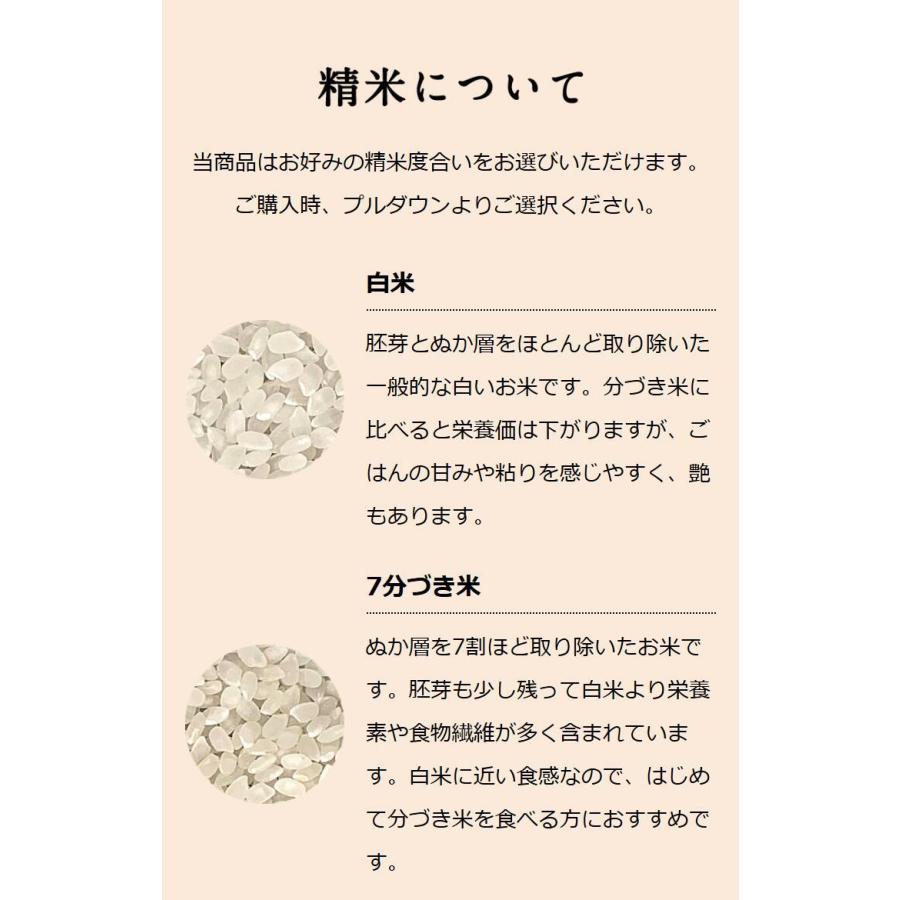 お米 ギフト 米 5kg×2袋 10kg てんこもり 富山県産 10キロ 令和7年産