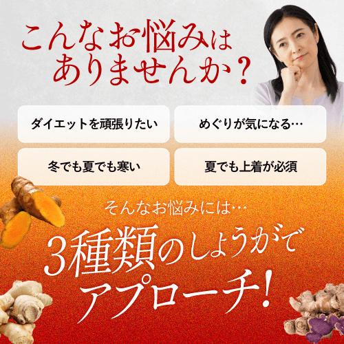 ブラックジンジャー サプリ ダイエット 30日分 近大サプリ 黒しょうが