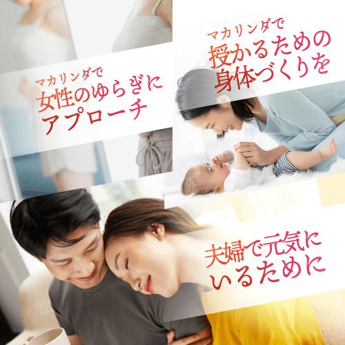 妊活サプリ 鉄分 マカ 妊活 妊活サポート マタニティ 日本製 錠剤 女性