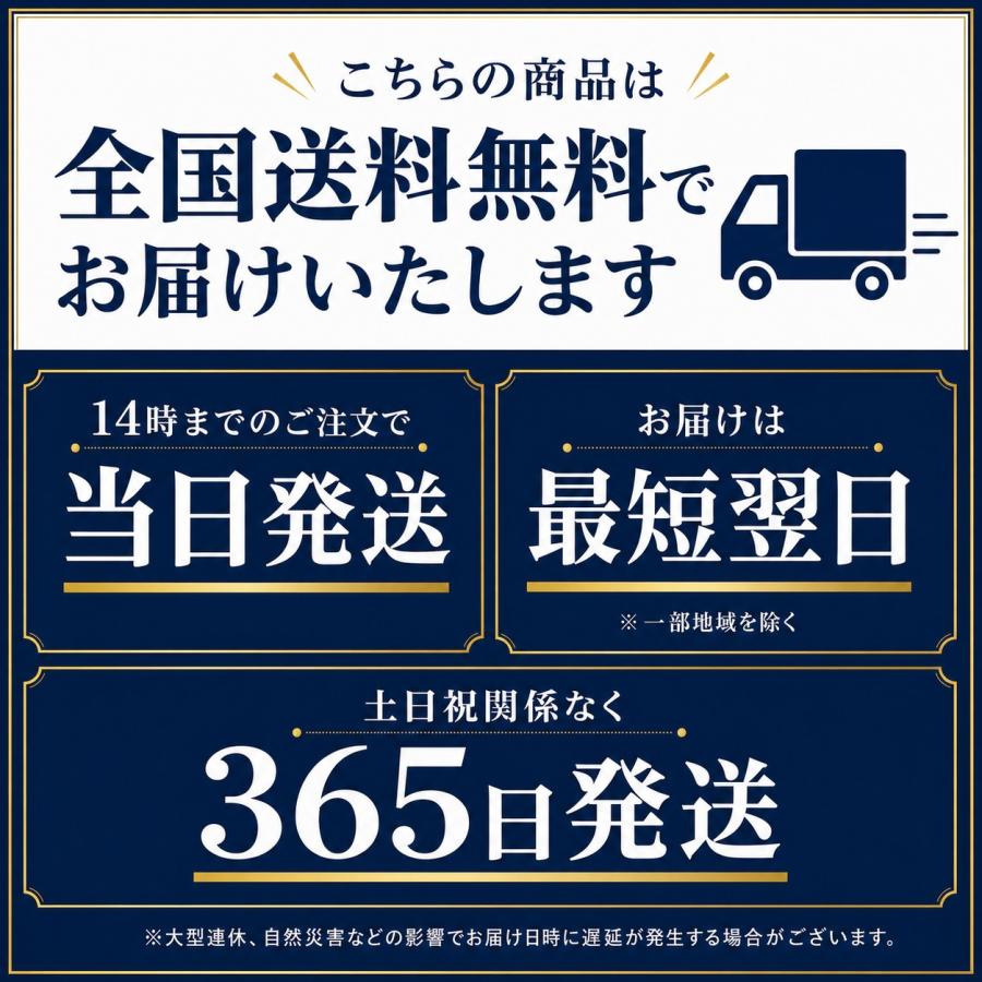 折りたたみ リュック バック 旅行 非常用 アウトドア 折り畳み エコ