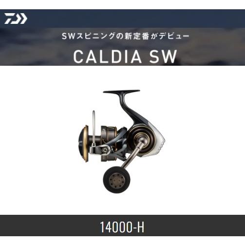 DAIWA（ダイワ） 22 カルディア SW 14000-H : オープンウォーター