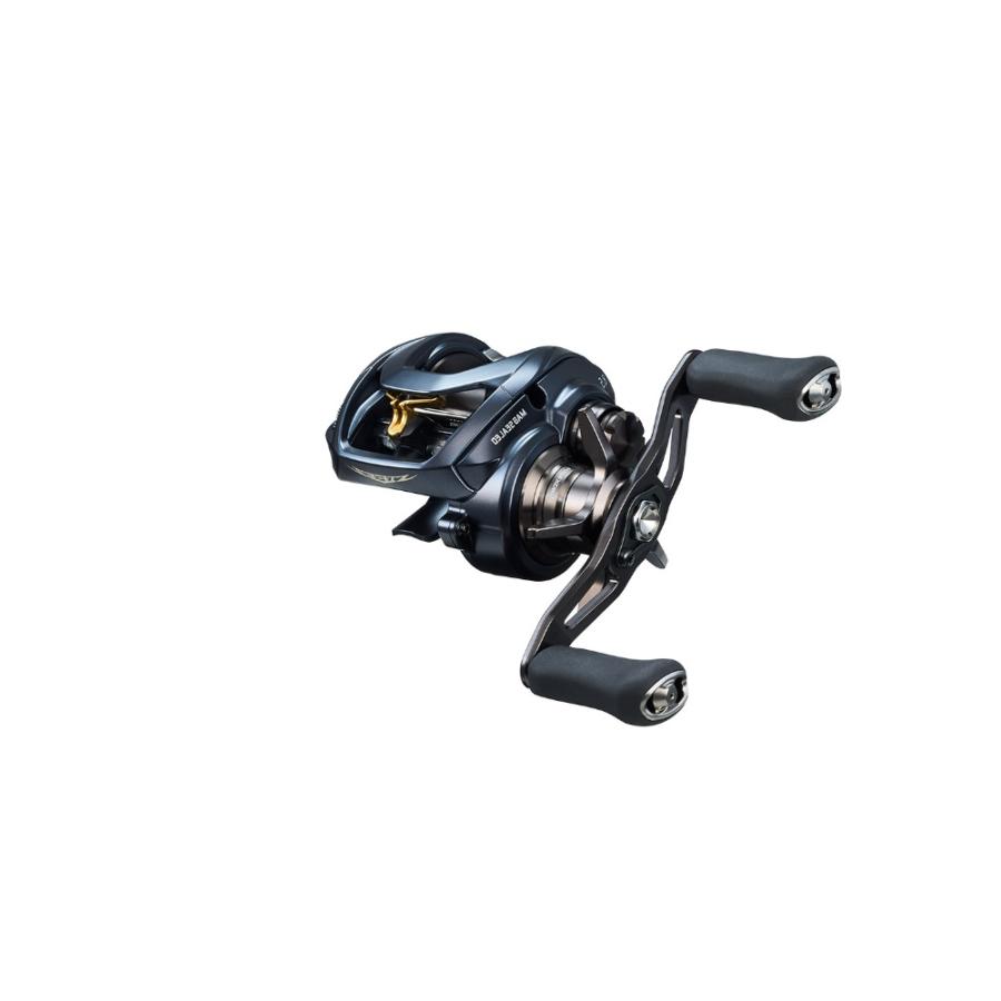 DAIWA（ダイワ） 23 スティーズ AII TW 1000 L 左巻き : オープン