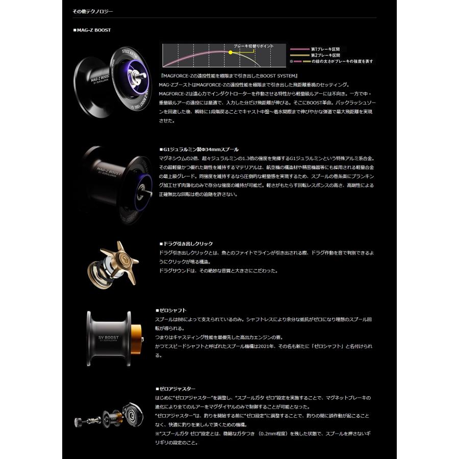 DAIWA（ダイワ） 23 スティーズ AII TW 1000 L 左巻き : オープン