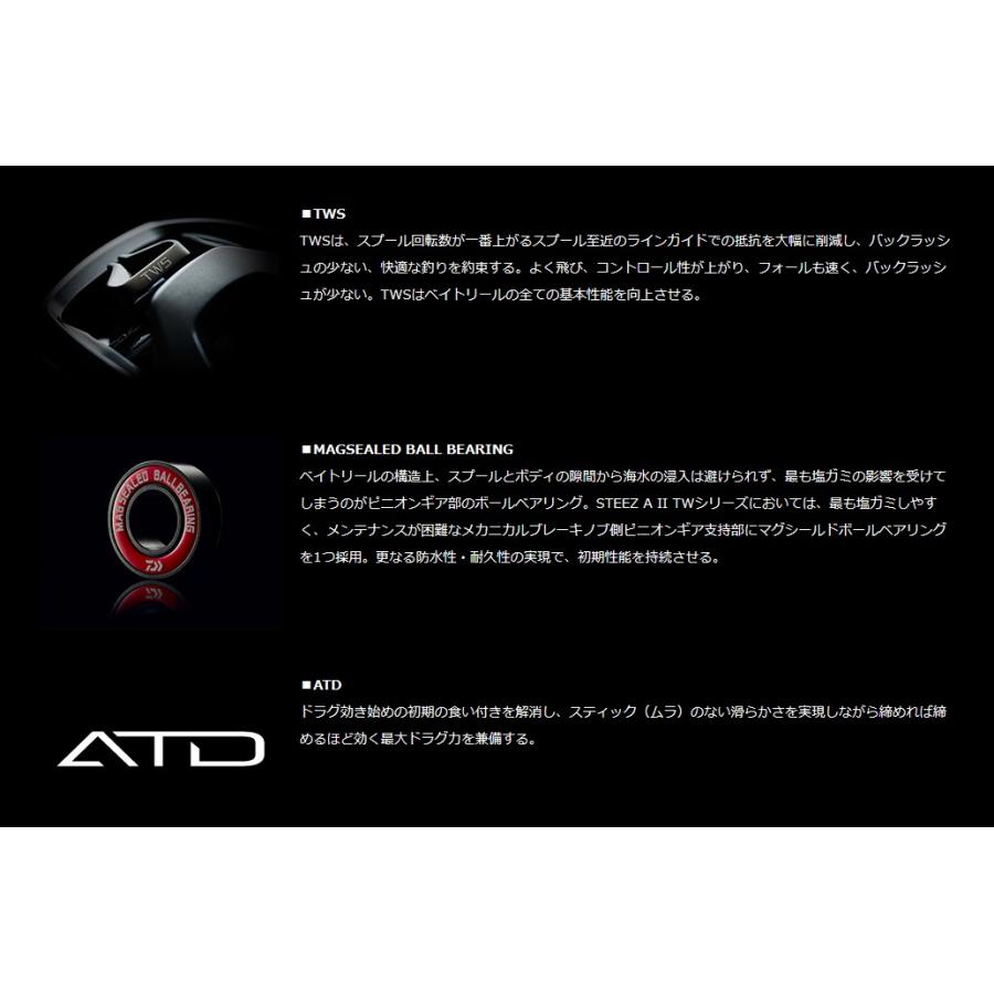 DAIWA（ダイワ） 23 スティーズ AII TW 1000 H 右巻き : オープン