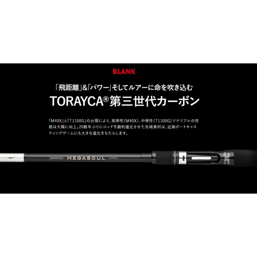 APIA アピア グランデージ メガソウル C73H+ ベイトロッド 2