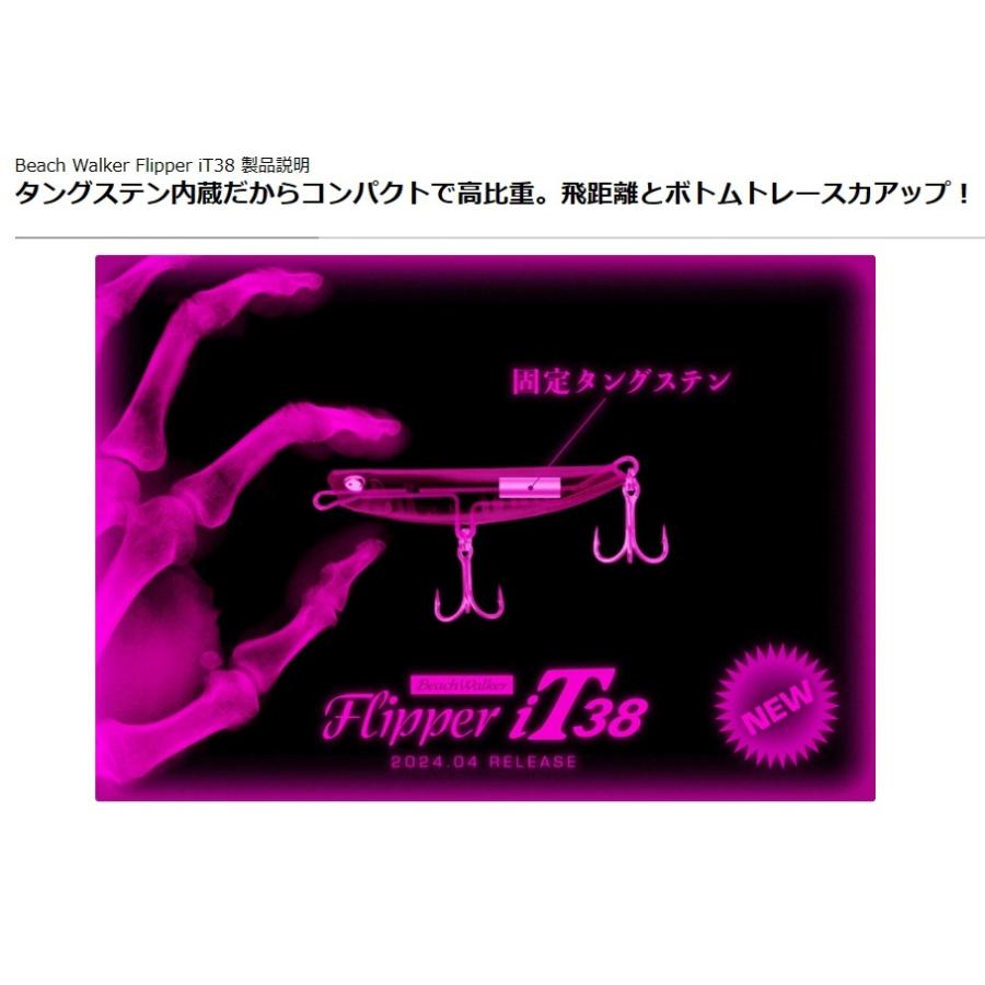 ビーチウォーカー DUO デュオ フリッパー iT38 2025 LIMITED (メール便