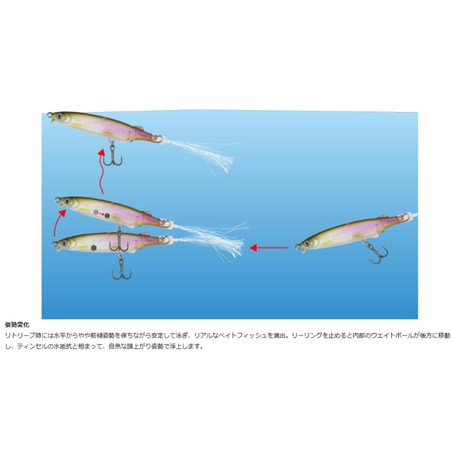 issei G.C.マジI字 ラレシ 60F 一誠 (クリックポスト可