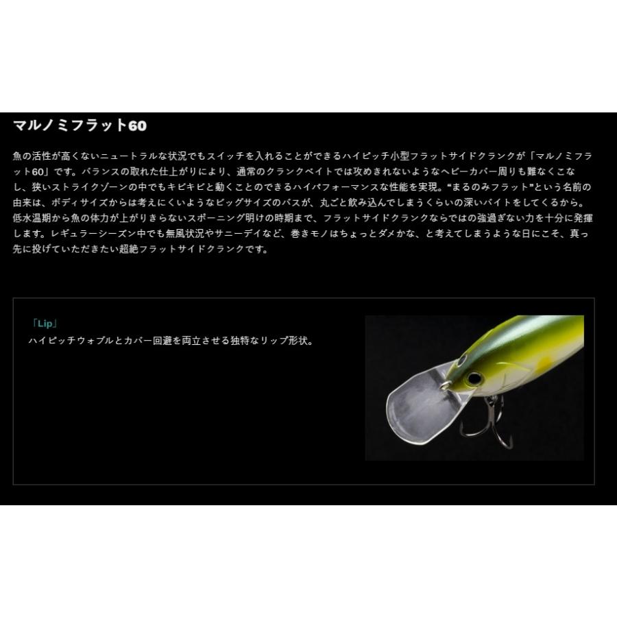 NORIES（ノリーズ） マルノミフラット 60 お一人様各色1点、合計2点