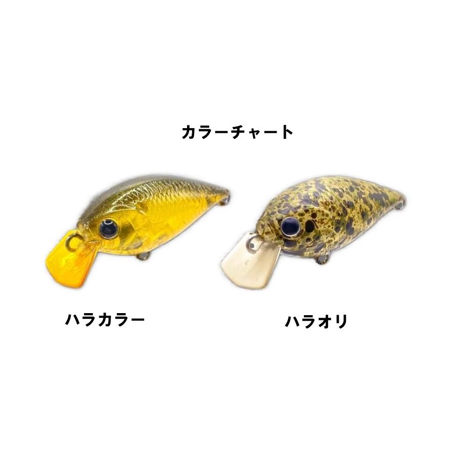 DLIVE（ドライブ） ラッキークラフト × ゲート ミディアムクラピー GS2