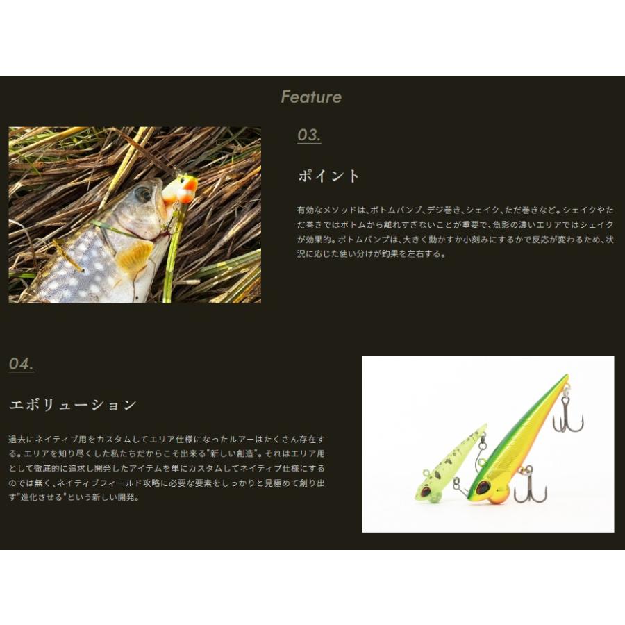 ValkeIN（ヴァルケイン） シャインライド 70 (メール便可) : オープン