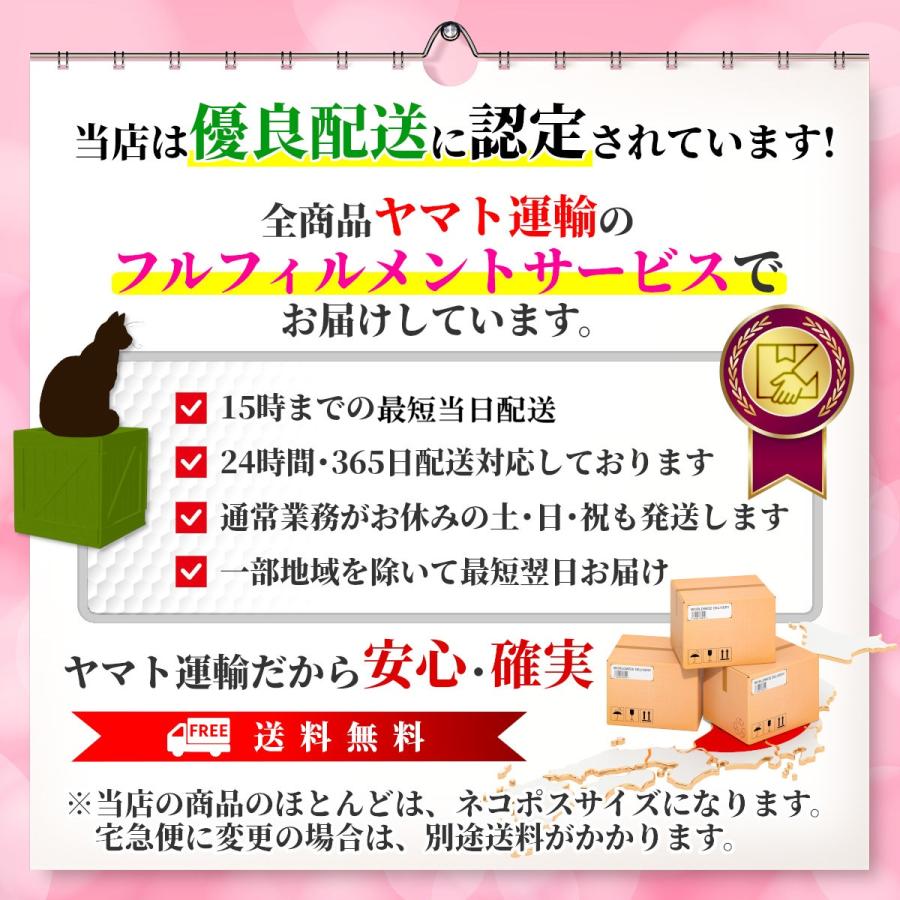 パスケース リール付き 定期入れ カードケース レディース icカードケース idカードホルダー 定期入れメンズ 2枚 薄型 首かけ ストラップ | ブランド登録なし | 12