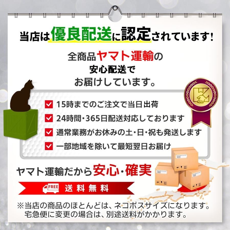 保冷バッグ クーラーバッグ 大容量 エコバッグ クーラーボックス ソフトクーラー ランチバッグ お弁当 保温バッグ トート ファスナー 小型 | ブランド登録なし | 12