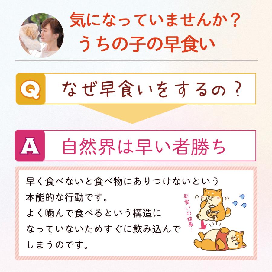 早食い防止 スローフードボウル 犬 猫 早食い防止ボウル フードボウル |  | 03