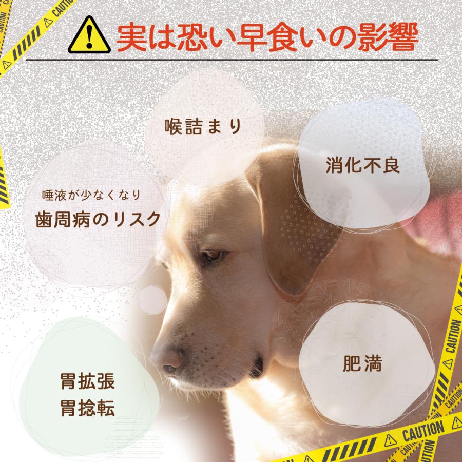 早食い防止 スローフードボウル 犬 猫 早食い防止ボウル フードボウル |  | 06