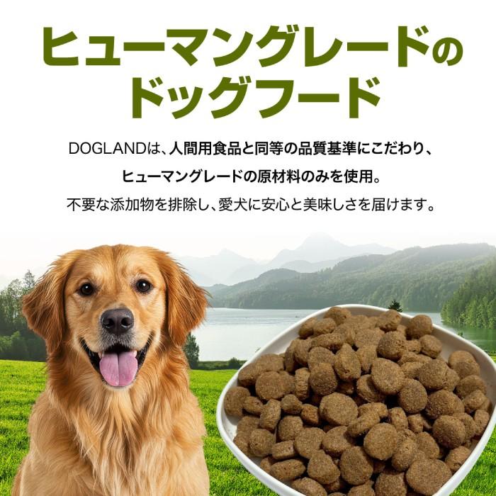 お試しサイズ [BEWITAL] ドッグランド アダルト 200g 中型犬・大型犬 