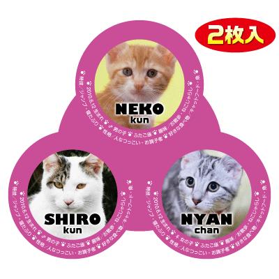 名前/写真入り　ステッカー　猫用　オーダーメイド/オリジナル　車用等　愛猫の画像使用　3匹用　2枚入　gazou-03-e｜opg1