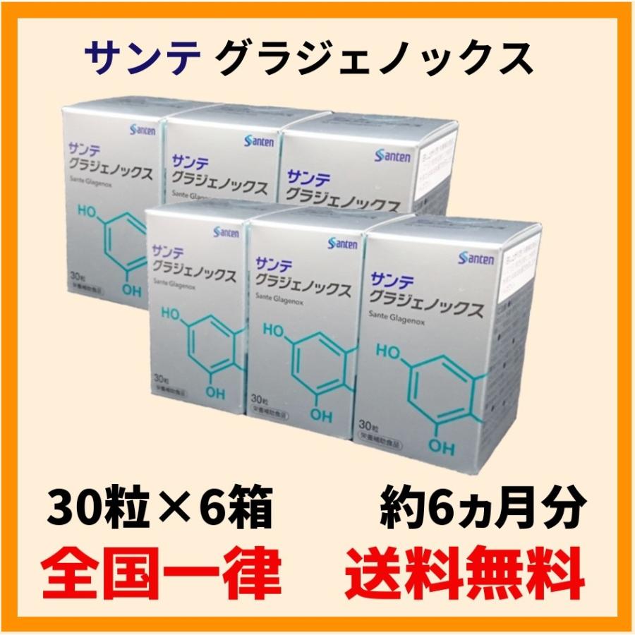 サンテグラジェノックス　6箱(30粒×6箱)参天製薬