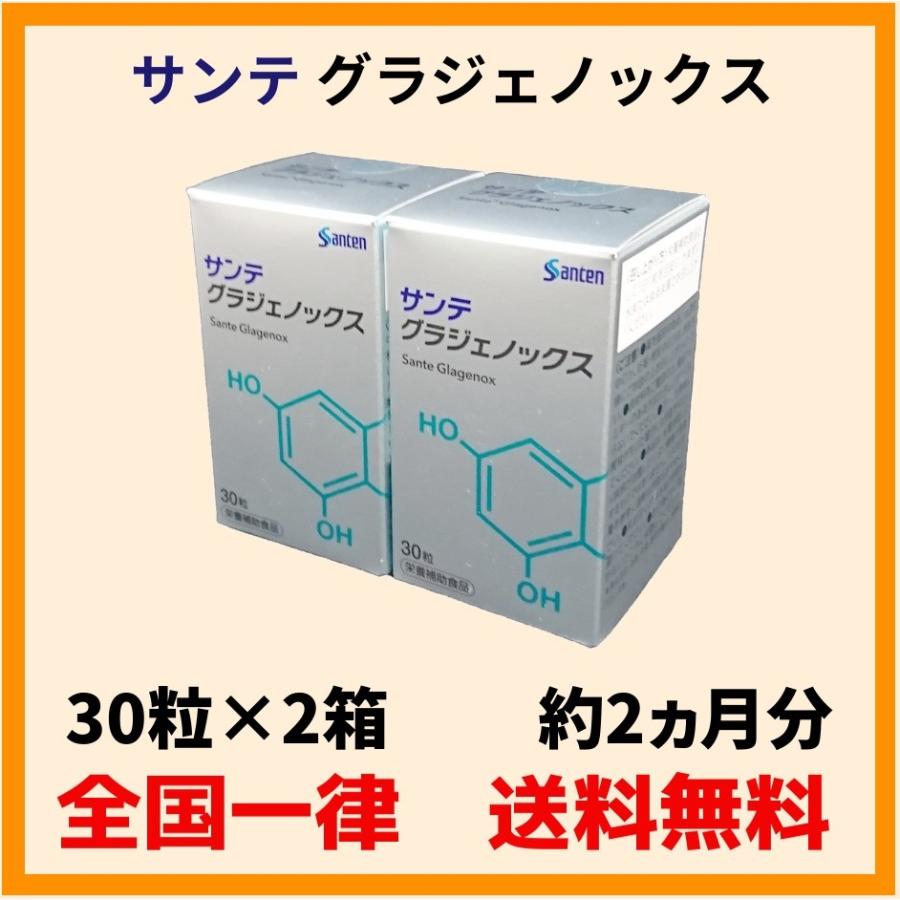 格安で入手する方法 サンテグラジェノックス　2箱(30粒×2箱)参天製薬